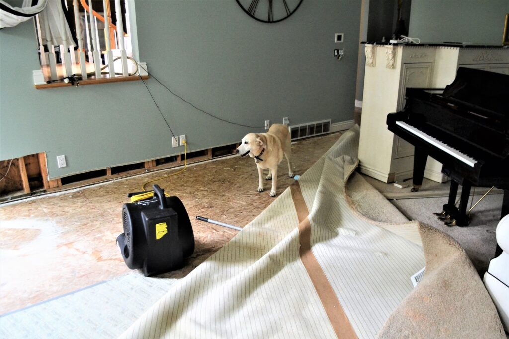 Water damage
