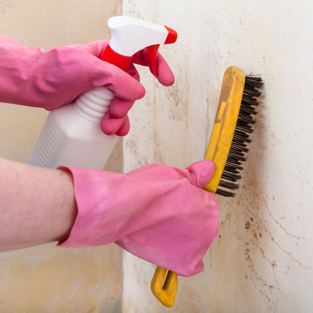 Mold removal