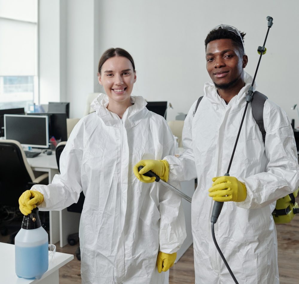 Mold Removal